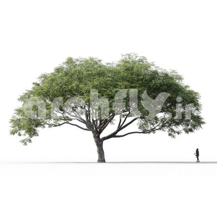 مدل سه بعدی درخت_004