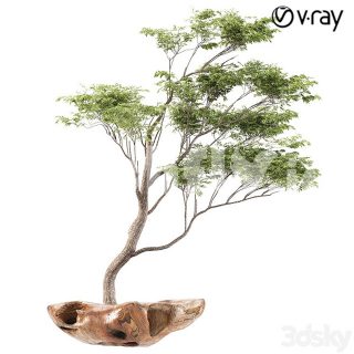 مدل سه بعدی درخت 475