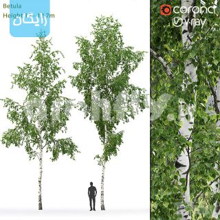 مدل سه بعدی درخت 1431