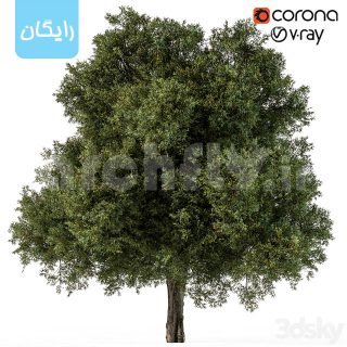 مدل سه بعدی درخت 2101