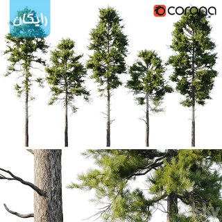 مدل سه بعدی رایگان درخت 4014