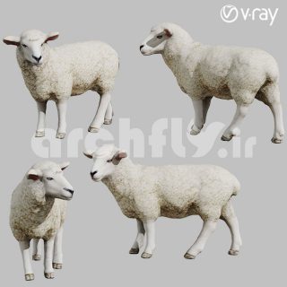 مدل سه بعدی گوسفند 4226