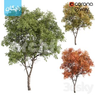 مدل سه بعدی درخت 4105