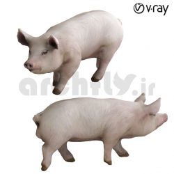 مدل سه بعدی خوک 4381